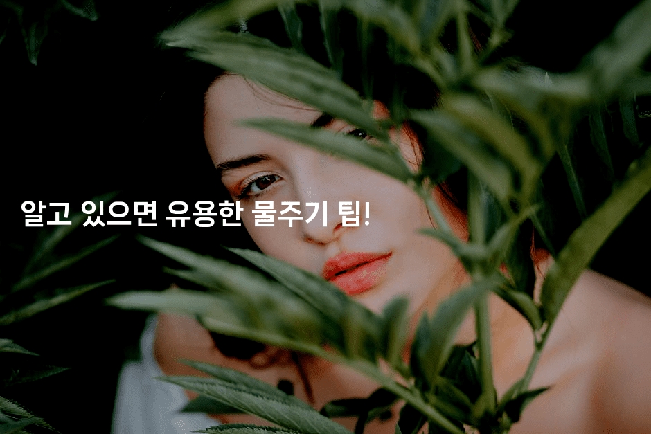 알고 있으면 유용한 물주기 팁!
-그로슈