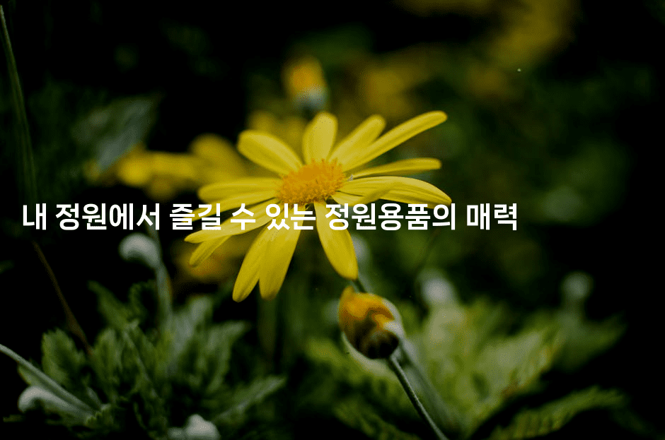 내 정원에서 즐길 수 있는 정원용품의 매력2-그로슈