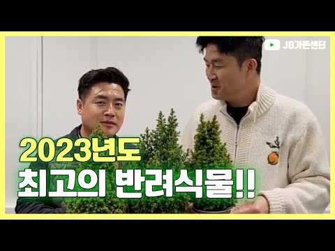 2023년 최고의 반려식물을 소개합니다~! 돈이 되는 나무 식테크 고소득 작물