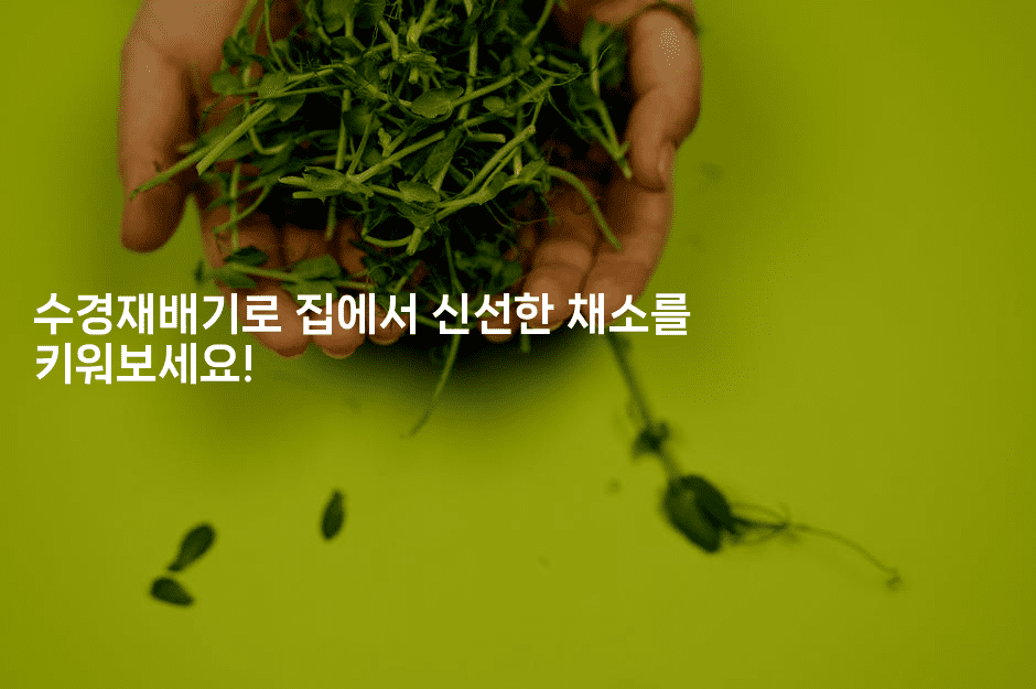 수경재배기로 집에서 신선한 채소를 키워보세요!