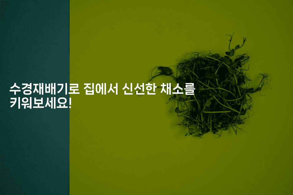 수경재배기로 집에서 신선한 채소를 키워보세요!2-그로슈