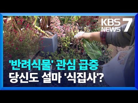 ‘식집사’를 아시나요?…‘반려식물’ 관심 급증 / KBS  2023.01.30.