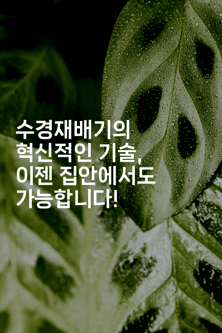 수경재배기의 혁신적인 기술, 이젠 집안에서도 가능합니다!2-그로슈