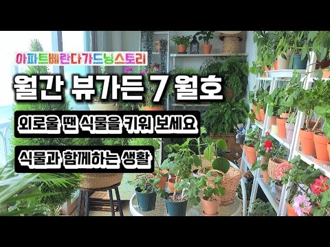 7월 한달 식물들의 여름나는 모습과 새로운 소식을 만나 볼수 있습니다~#베란다정원 #plants #garden #home