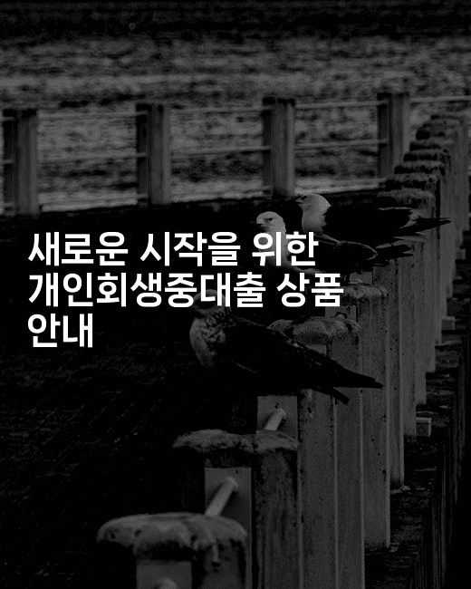 새로운 시작을 위한 개인회생중대출 상품 안내