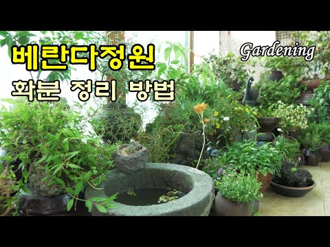 SUB) 아파트 베란다 정원 이쁘게 꾸미기, 화분 자리 배치 방법, 항아리로 꾸미기 |  Decorating the flowers garden