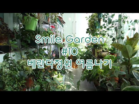 Smile Garden #10 베란다정원 여름나기. 뜨거운 여름~ 저는 이렇게 보내요 ?