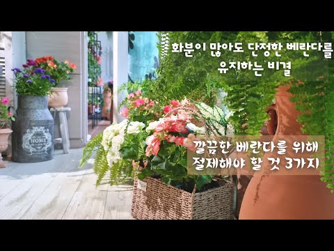 SUB) 단정한 베란다 정원을 유지하기 위해 절제해야 할 것 3가지 /  식물을 깔끔하고 건강하게 키우는 방법