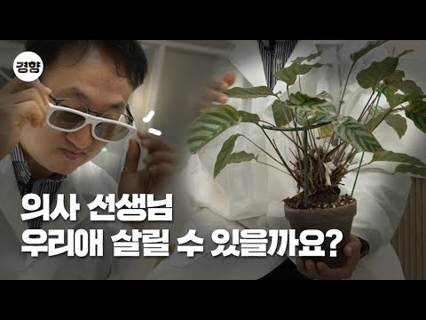 반려식물 의사가 알려주는 식물 기르기 꿀팁 공유