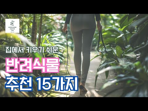 집에서 키우기 쉬운 반려 식물 추천 15가지