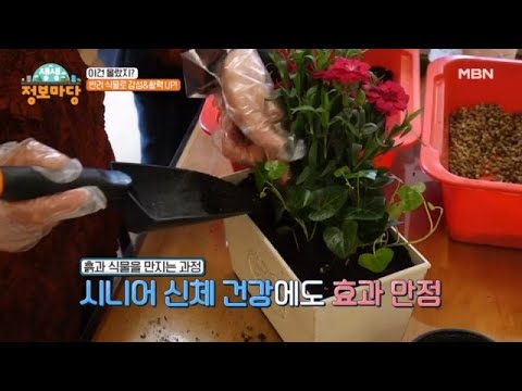 반려 식물로 감성&활력 UP! MBN 230508 방송