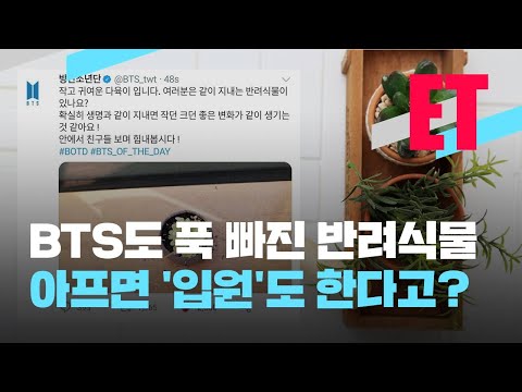 [ET] BTS도 키우는 반려 식물…아프면 ‘식물병원’ 찾으세요! / KBS 2021.05.10.