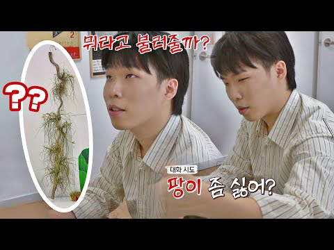 왠지 모를 광기(!) 포함※ 찬혁(LEE CHAN HYUK)의 반려 식물 이름 짓기? 독립만세(alonenice) 10회 | JTBC 210503 방송