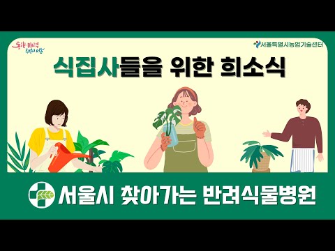 식집사들을 위한 희소식! 찾아가는 반려식물병원