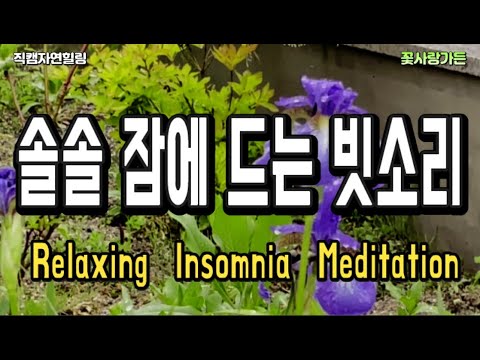 #직캠자연힐링 심신이 이완되어 솔솔 잠에 드는 빗소리 Relaxing Insomnia Meditation