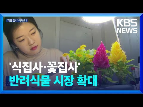 커지는 반려식물 시장…‘식물집사’ 어때요? / KBS  2024.04.09.