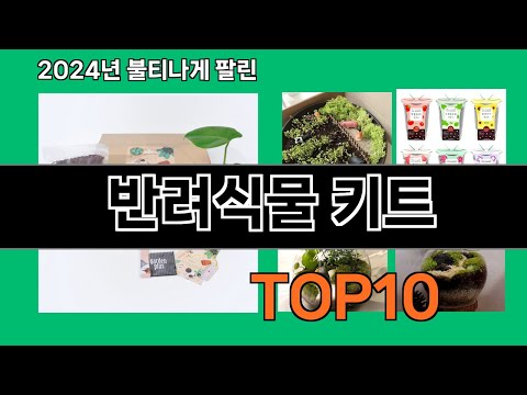 반려식물 키트 2024 트랜드 쿠팡로켓배송 추천 Top 5