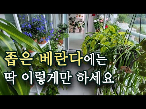 좁은공간 활용도 높은 인테리어 팁 | 다이소 토분 실사용 후기와 장단점