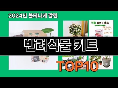 반려식물 키트 2024 트랜드 쿠팡로켓배송 추천 Top 5