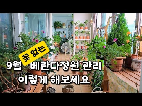 9월 베란다정원의 식물선반과 식물자리 재배치 방법~#garden #gardening #뷰가든