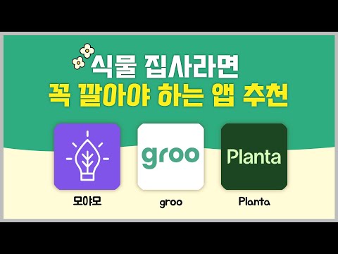 반려 식물 키우기, 이 앱만 있으면 어렵지 않아요! 식물 앱 추천ㅣ모야모ㅣ그루우ㅣplanta