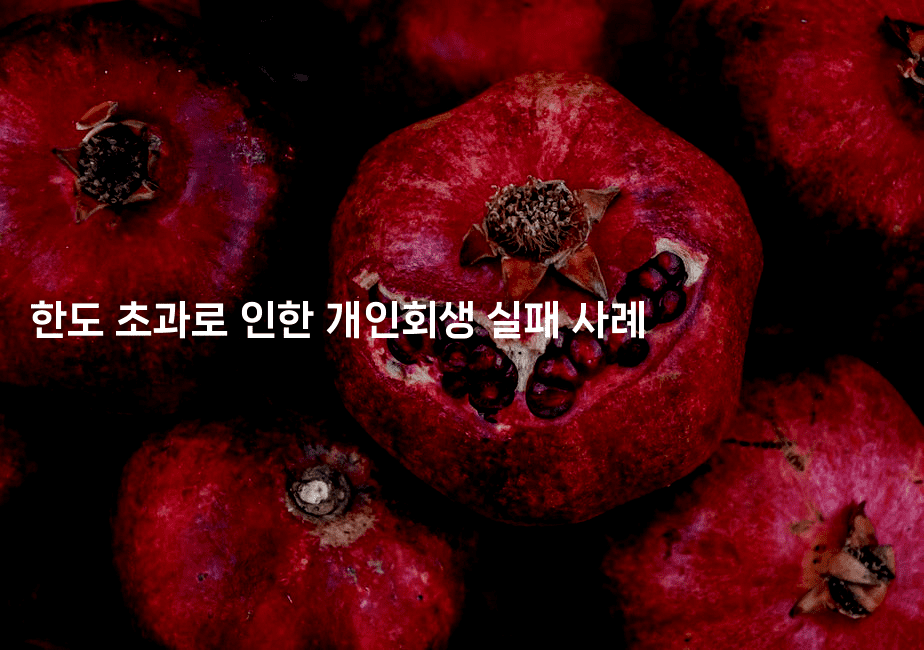 한도 초과로 인한 개인회생 실패 사례