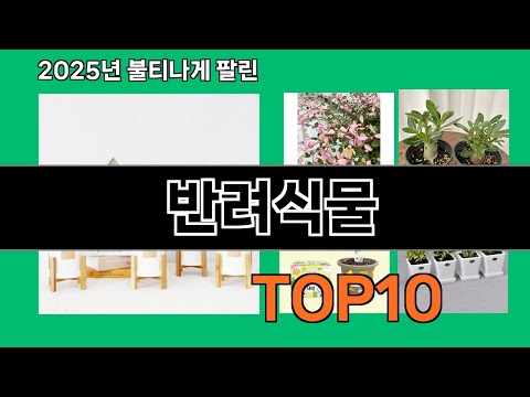 반려식물 모르면 손해인 쿠팡 추천템 BEST 10