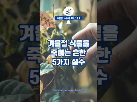 겨울철 나의 반려식물이 죽는 이유는 이 5가지?